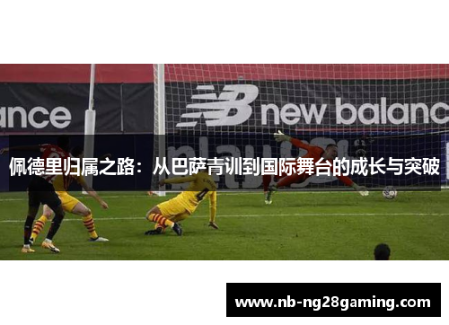 佩德里归属之路：从巴萨青训到国际舞台的成长与突破