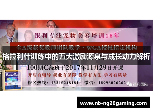 格拉利什训练中的五大激励源泉与成长动力解析