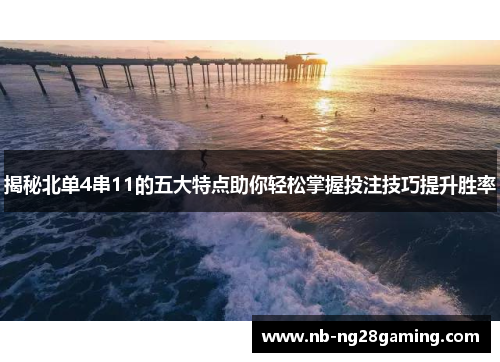 揭秘北单4串11的五大特点助你轻松掌握投注技巧提升胜率