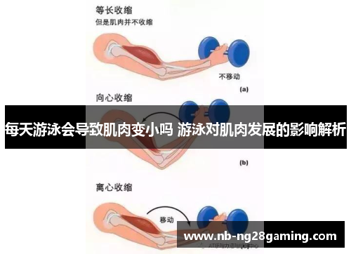 每天游泳会导致肌肉变小吗 游泳对肌肉发展的影响解析
