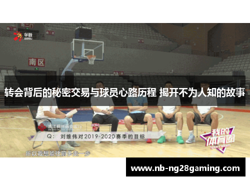 转会背后的秘密交易与球员心路历程 揭开不为人知的故事