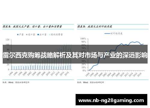 雷尔西克购筹战略解析及其对市场与产业的深远影响 雷尔西克购筹战略解析及其对市场与产业的深远影响