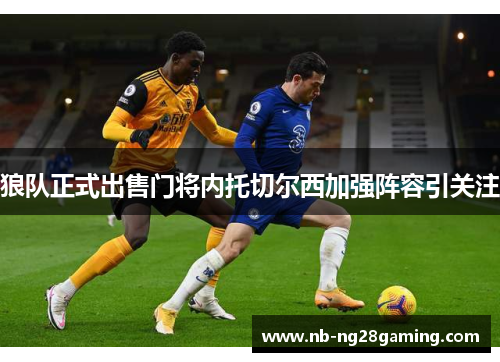 狼队正式出售门将内托切尔西加强阵容引关注 狼队正式出售门将内托切尔西加强阵容引关注