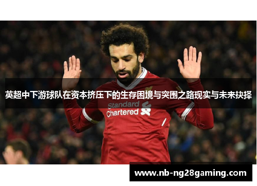 英超中下游球队在资本挤压下的生存困境与突围之路现实与未来抉择